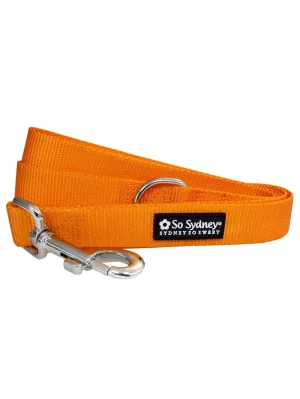 Orange Nylon Dog Leash for Small, Medium, or Large Dogs