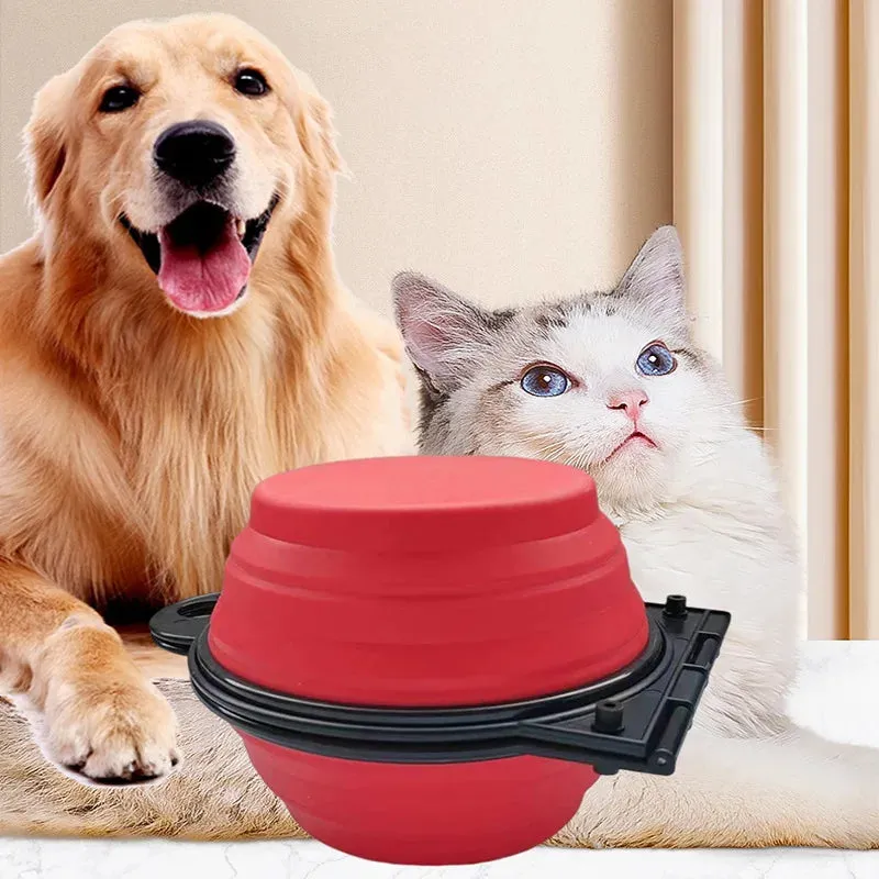 Portable Foldable Dual Bowl for Pets