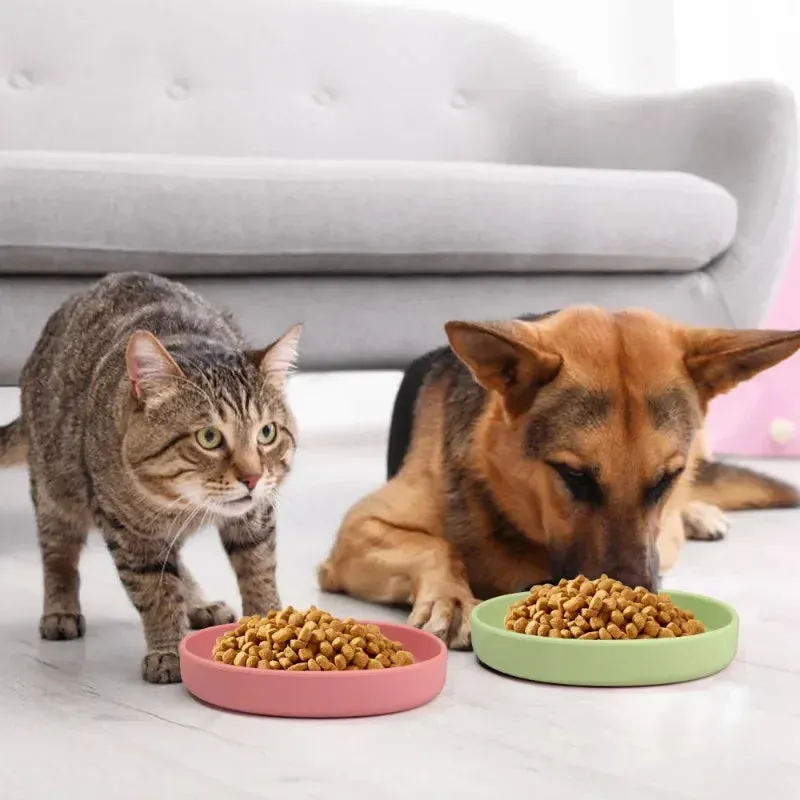 Silicone Pet Feeding Bowl for Dogs and Cats