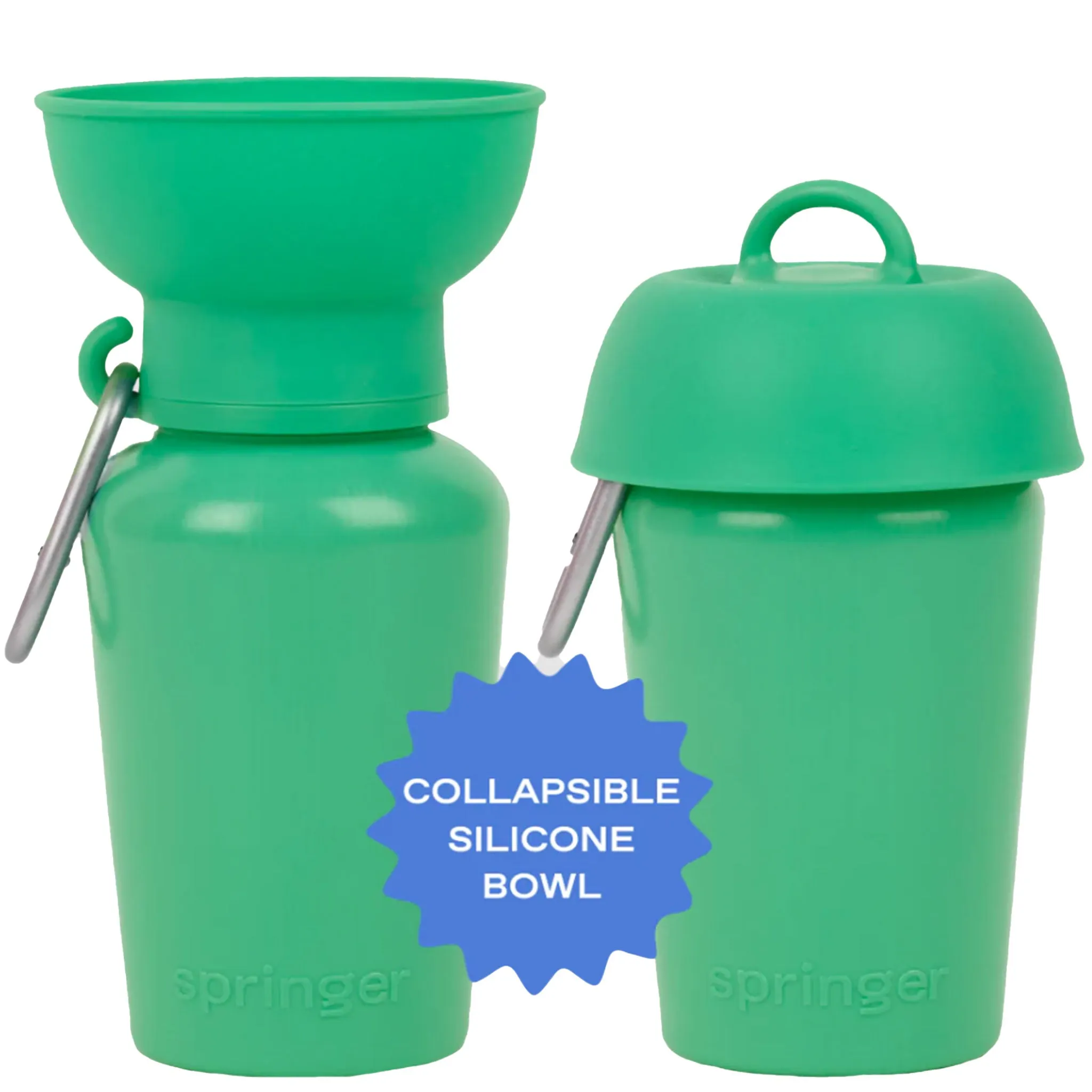 Springer Flip Travel Bottle 20 oz - Green