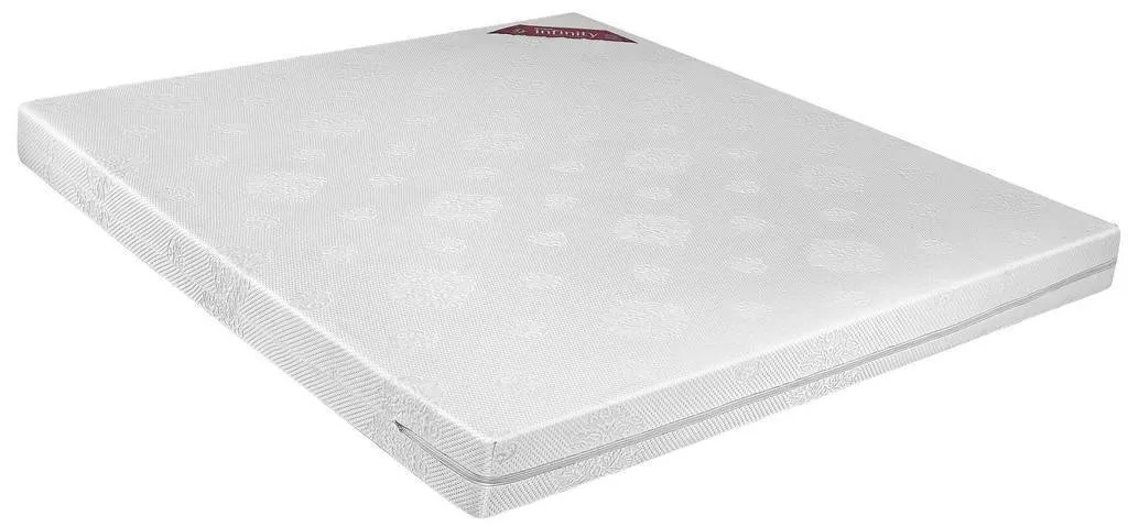 Springwel Soft Foam Mattress