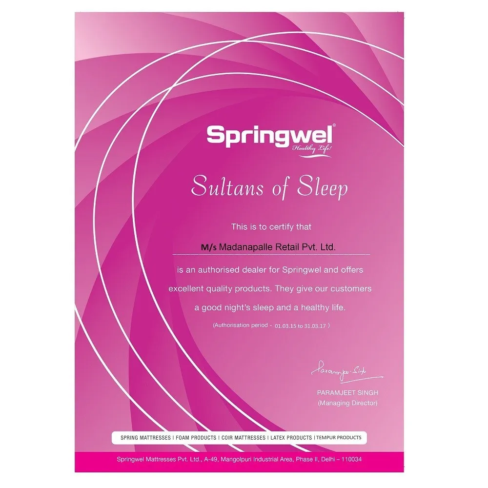 Springwel Soft Foam Mattress