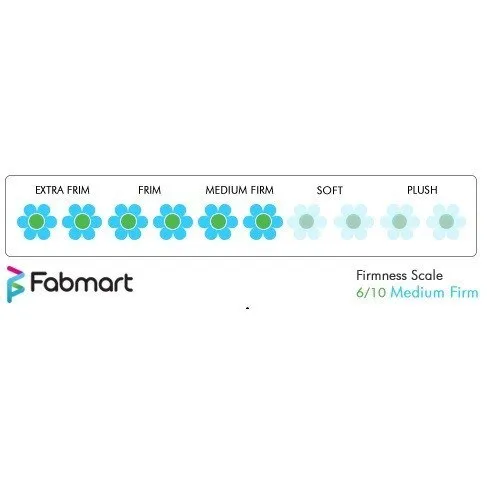 Springwel Soft Foam Mattress