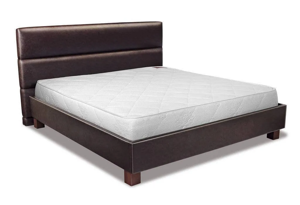 Springwel Soft Foam Mattress