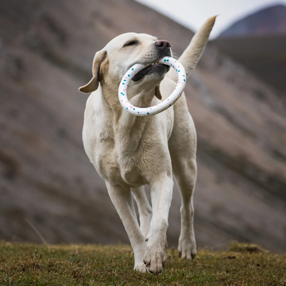 Talking Dog Club Bloom Ring Indestructible Heavy Chew Toy for Dogs (White)