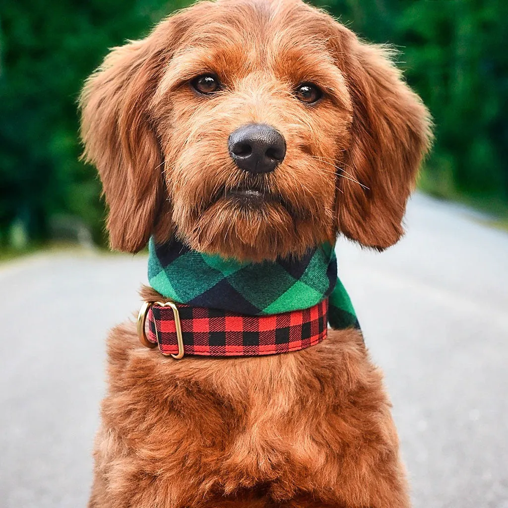 The Bingo Buffalo Flannel Dog Bandana - Green