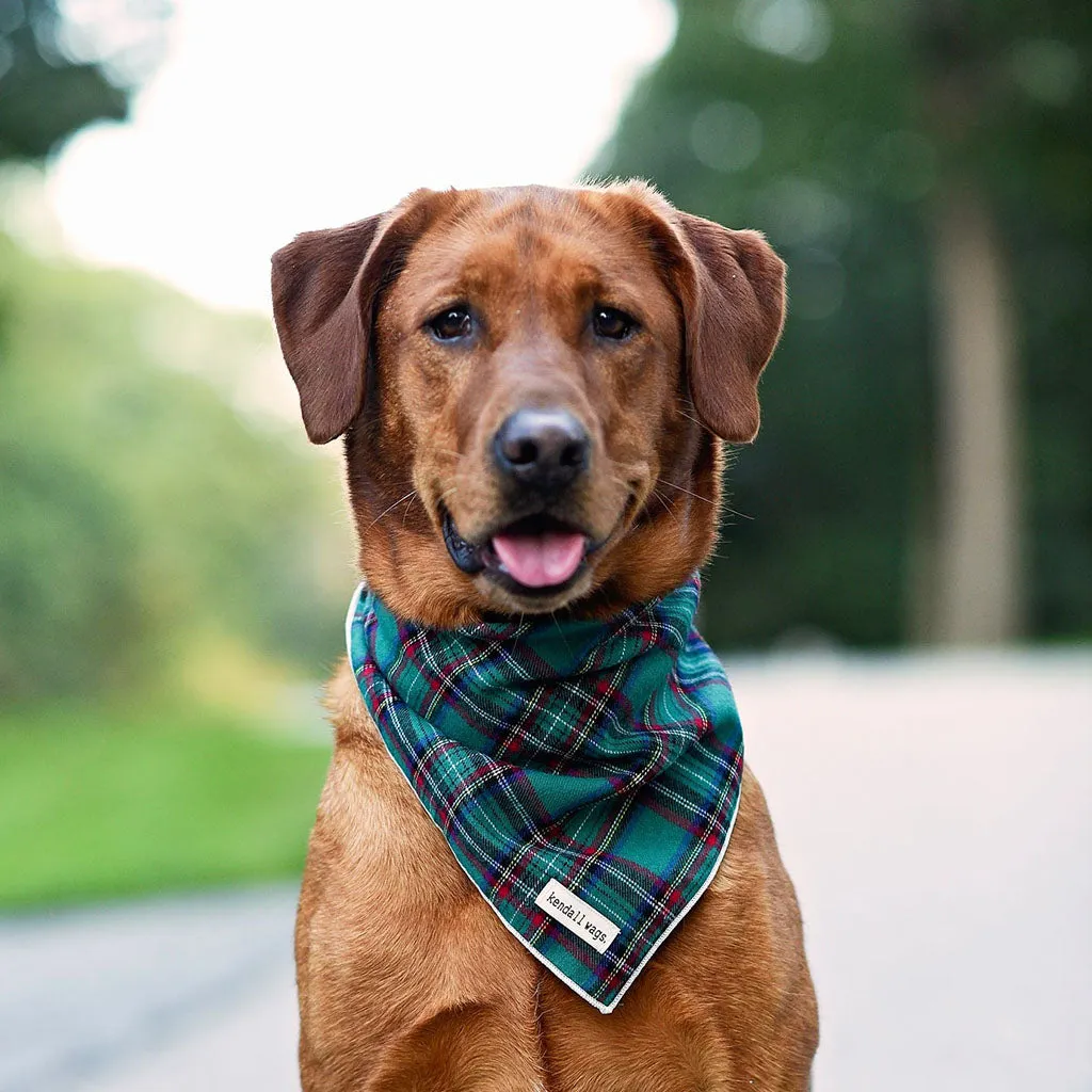 The Green Tartan Dog Bandana