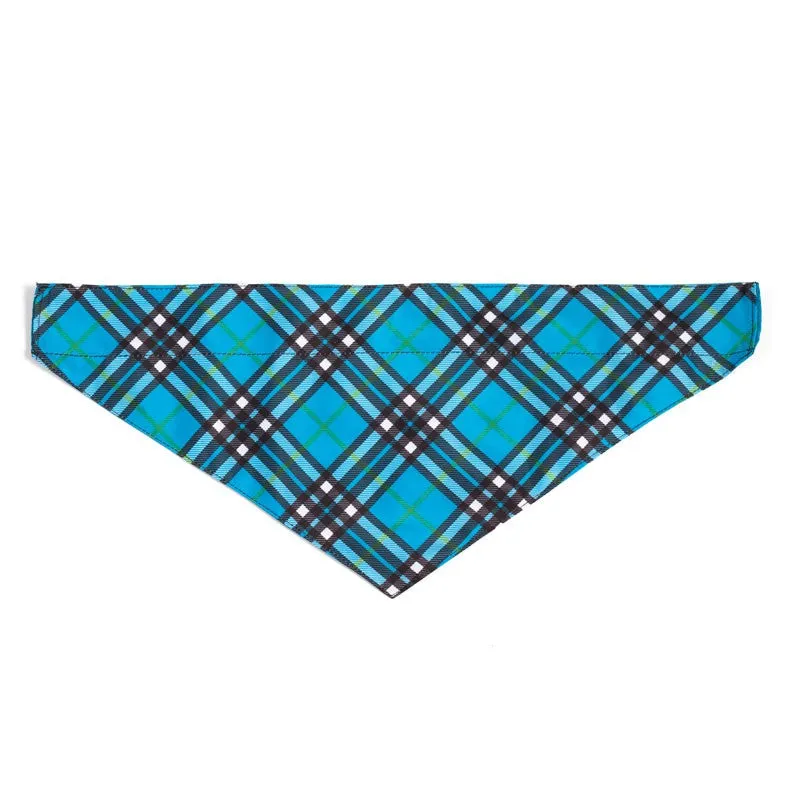 The Worthy Dog - Plaid Bandanas