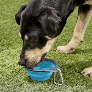 Travel Cup Foldable Pet Bowl