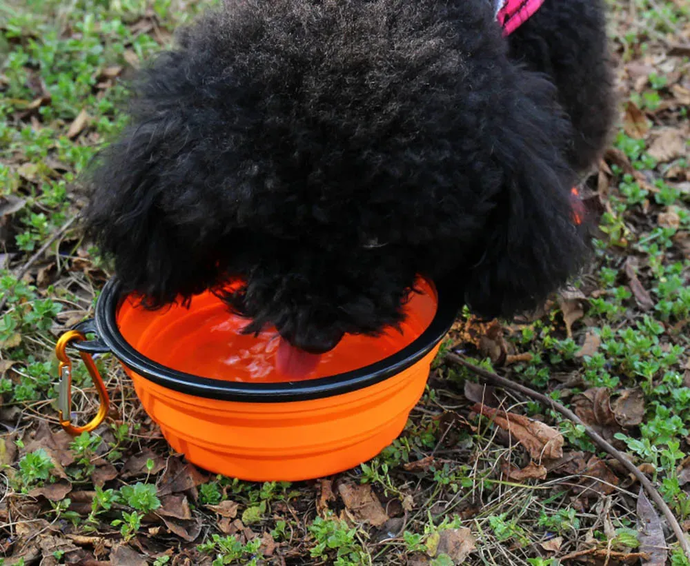 Water Food Bowl for Dogs Cats Collapsible Silicone with Carabiner Clip